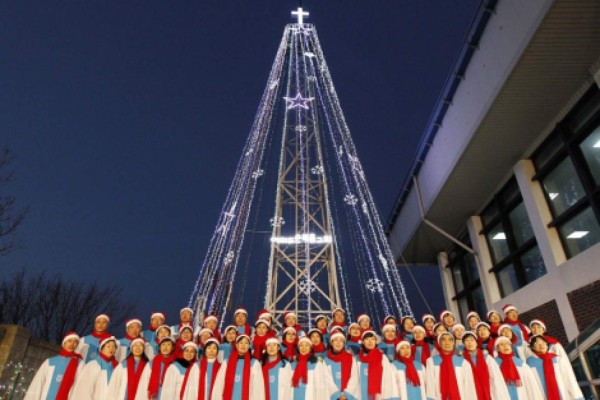 Árboles de Navidad más bellos del mundo: ¡Honduras en la lista!