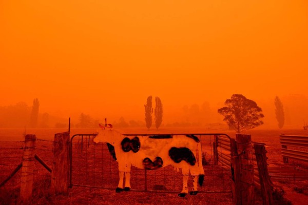 Cielo rojizo y un ambiente desierto: las fotos del caos que dejan los incendios en Australia