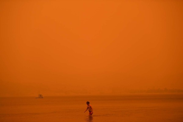 Bomberos desesperados, mientras los animales huyen: el drama de los incendios en Australia