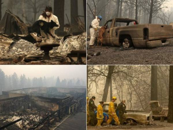 Los incendios que continúan asolando California dejan al menos 59 muertos, según el último balance revelado por las autoridades, que incrementan sus esfuerzos para seguir la pista de unas 130 personas reportadas como desaparecidas. Aquí te presentamos algunas de las fotos más desgarradoras captadas en Paradise, el pueblo de California que desapareció a causa de las llamas. (Fotos: Agencia AFP)