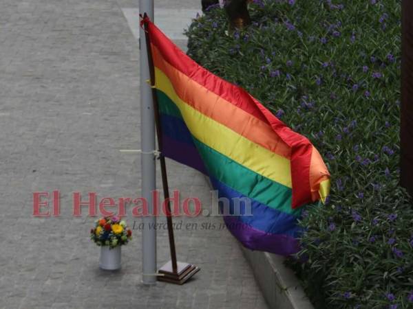 Desde este martes la bandera LGTB ondea en varias secretarías de Estado tras visto bueno de la presidenta hondureña.