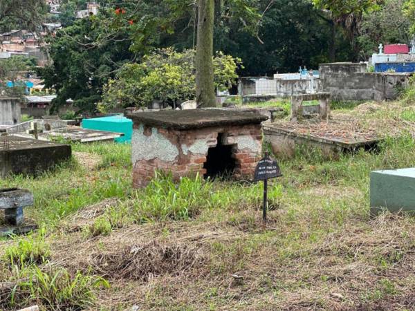 Este campo santo se ha convertido en un desbazadero de animales.