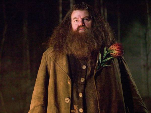 Nacido en Rutherglen, cerca de Glasgow, Escocia, el actor era adorado por niños y mayores de todo el mundo por su interpretación del personaje de Rubeus Hagrid.