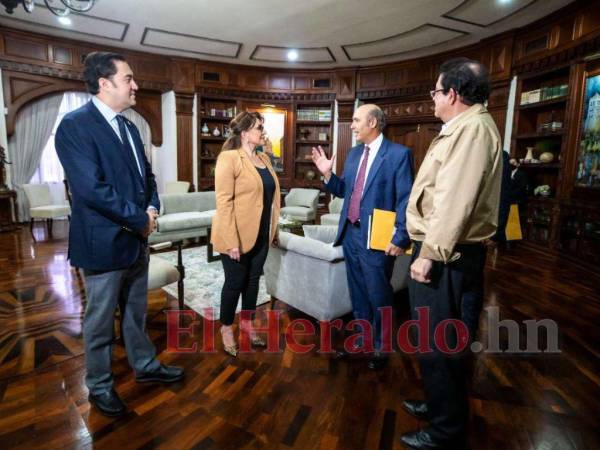 Hugo Llorens se reunió con la presidenta el miércoles -26 de julio-.