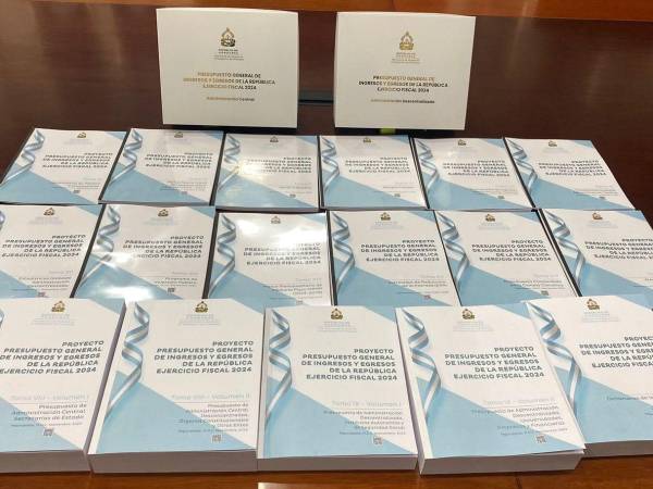 La documentación del presupuesto 2024 con todas las asignaciones fue remitida al CN cuatro días antes del plazo establecido en la ley.