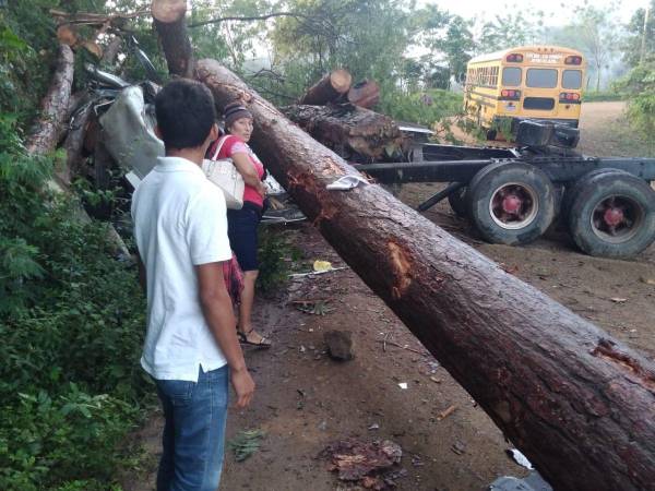 Un joven que conducía una rastra con madera murió tras accidentarse en el desvío de El Limón que conduce hacia Esquipulas, Olancho.