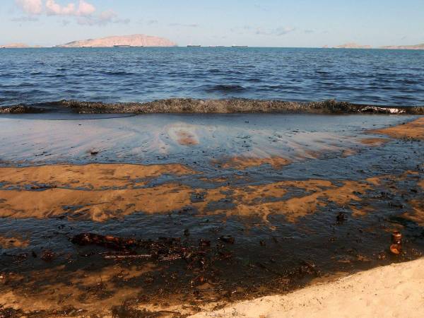 “Con cada derrame de petróleo hay mucha afectación en los ecosistemas acuáticos, aves como los pelícanos quedan impregnadas cuando se lanzan a buscar sus presas”, comentó la bióloga Yurasi Briceño.