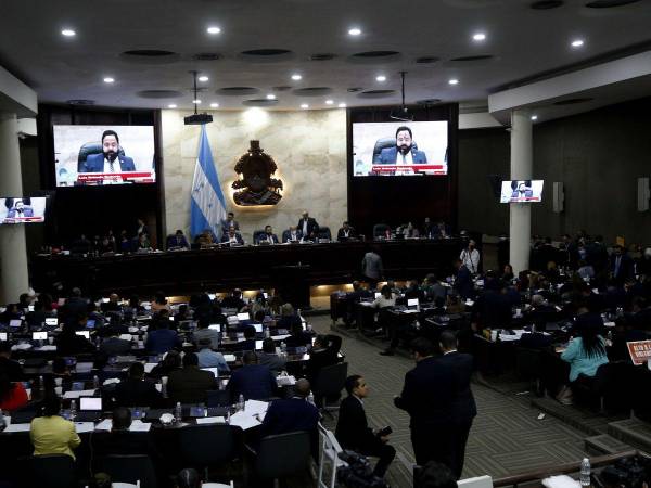 Este día el Congreso Nacional recibirá la lista de 45 aspirantes finales a magistrados de la Corte Suprema de Justicia (CSJ). Bancadas anuncian que desde hoy iniciarán los acercamientos con sus homólogos de otras corrientes para llegar a consensos el 25 de enero.