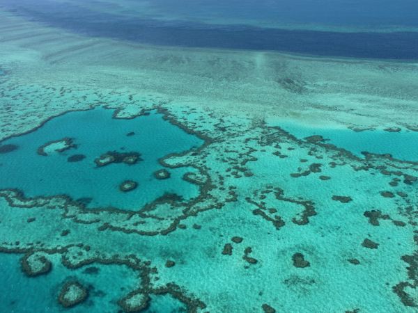 La Gran Barrera de Coral en las islas Whitsunday, en la costa de Queensland.