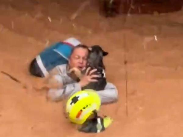 Momento en el que la mujer cargaba a su perro y a sus gatos dentro de una maleta para poder salvarlos.