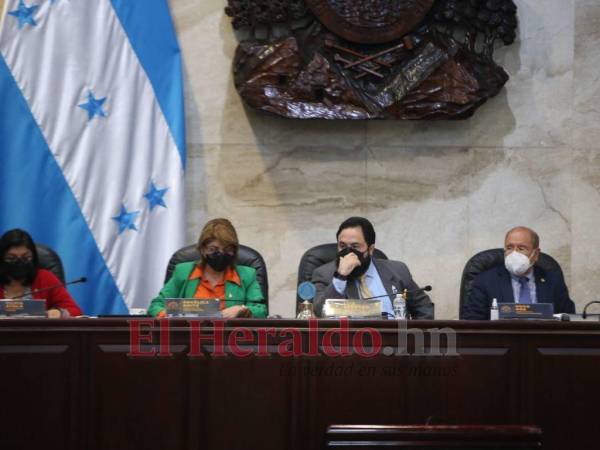 Luis Redondo durante la sesión legislativa de este martes 27 de julio.