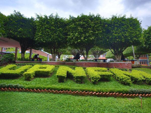 La Universidad Pedagógica Nacional Francisco Morazán graduó en año pasado un total de 5,047 nuevos profesores, quienes poco a poco se insertarán en el sistema educativo nacional, que cada día demanda nuevas competitividades.