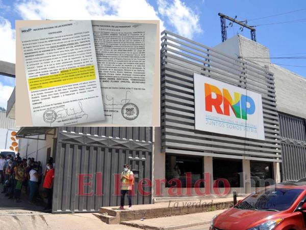 Claudia Garmendia fue separada de su cargo desde agosto por falsificacion de documentos del RNP.