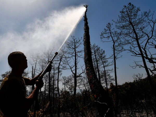 Imagen después de un incendio, en un bosque en Melloula cerca de Tabarka en la frontera noroeste de Túnez con Argelia.