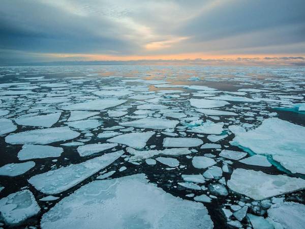 Por el cambio climático y fenómenos externos, el ritmo del deshielo en el Polo Norte se está acelerando, advierten las climatólogas Alexandra Jahn y Céline Heuzé que lideraron la investigación publicada en la revista Nature Communications.