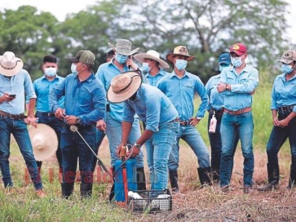 Los estudiantes regresaron debido a que sus carreras se lo exigen, pero no todos aceptan por el covid-19. Foto: Emilio Flores | EL HERALDO