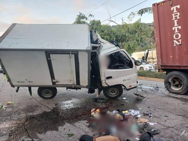 El accidente ocurrió cuando el camión que conducía impactó contra la parte trasera de una rastra varada en el sector.