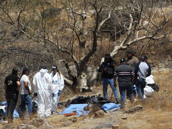 Peritos forenses trabajan con varias bolsas de restos humanos extraídos del fondo de una quebrada por un helicóptero, los cuales fueron abandonados en la comunidad Mirador Escondido en Zapopan, estado de Jalisco, México el 31 de mayo de 2023.