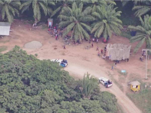 Campesinos se resisten a desalojar las fincas usurpadas.