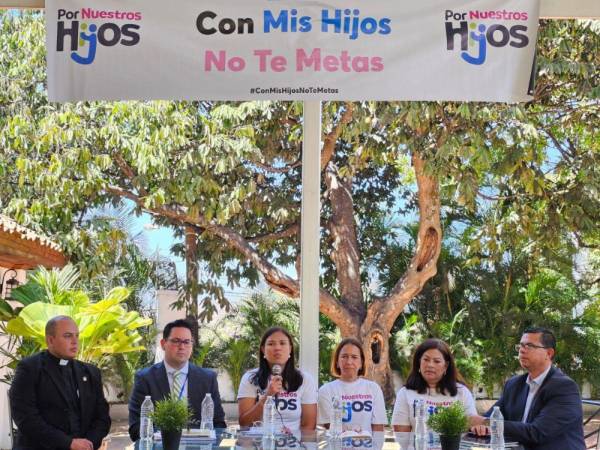 El borrador del proyecto consta de 158 artículos aún se desconoce cuándo llegará al CN