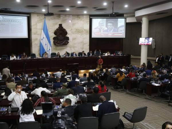 El Congreso Nacional se apresta a discutir este día un paquete de reformas, incluidas la derogación de las agravantes del delito de usurpación. No obstante, los partidos de oposición no la acompañarían.