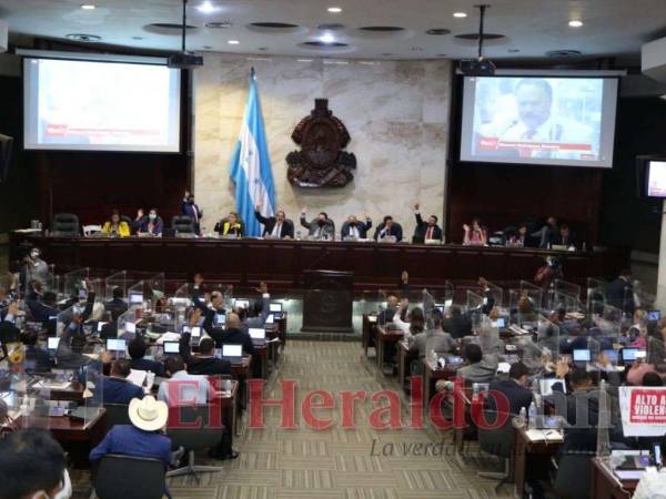 Una amplia discusión y cuestionamientos a favor y en contra provocó este tema entre diputados.