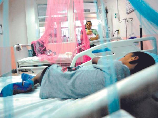 Más de dos muertes por dengue se han registrado en 2024.