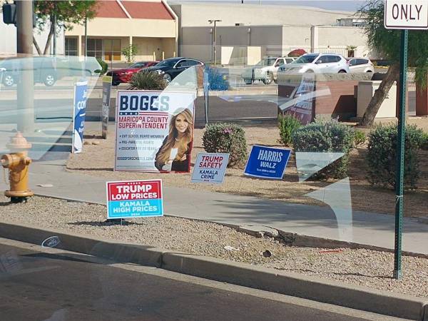 Así lucen algunos patios en las viviendas estadounidenses.