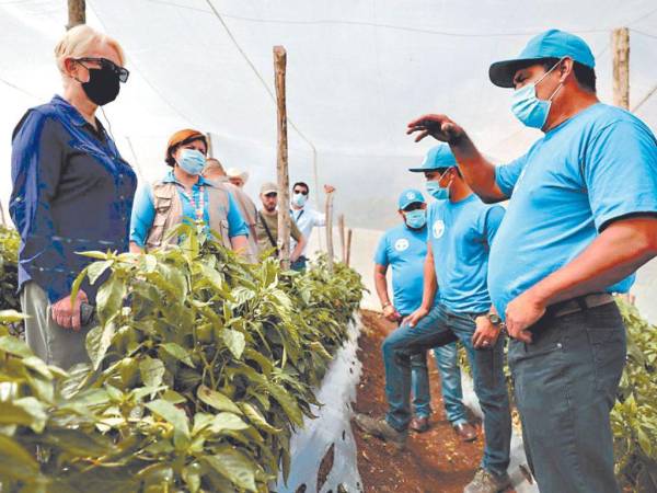 La embajadora recorrió varios departamentos del país en donde visitó proyectos impulsados por el Programa Mundial de Alimentos.