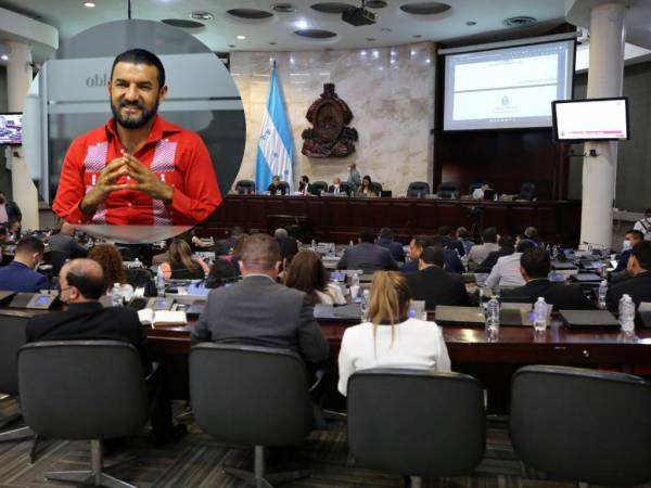 El vicepresidente del Poder Legislativo, Rasel Tomé, se mostró inconforme con el desglose de pagos correspondiente a la casilla de viáticos.