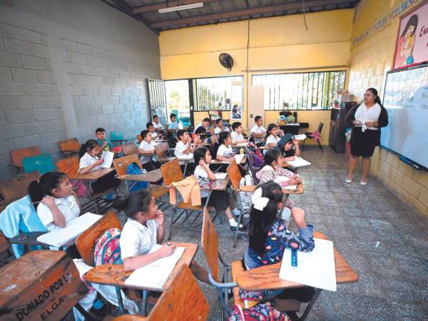 Escuelas continúan sin recibir libros de texto para los estudiantes.