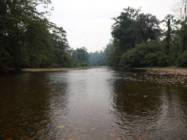 Desde el pasado viernes, la Comisión de Alto Nivel entablaría diálogos con las comunidades del río Patuca, río Coco/Segovia, la cordillera Entre Ríos, la reserva Tawahka Asangni y de la biósfera del río Plátano