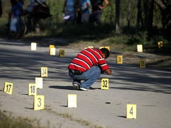 El informe establece que la tasa diaria de homicidios se redujo en un 8.48 por ciento en comparación con el mes de enero de 2018.