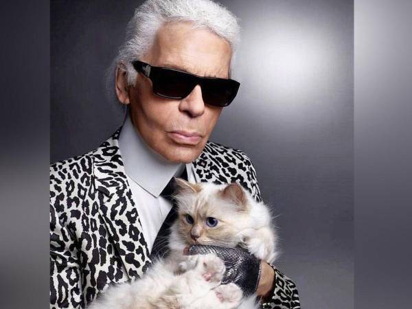 Choupette, la gata del famoso diseñador Karl Lagerfield, no solo fue su mascota, también su compañera por muchos años. Donde estaba él, estaba la felina, que hoy en día disfruta de los lujos y placeres que le dejó su padre antes de fallecer el 19 de febrero de 2019 víctima de cáncer de páncreas.