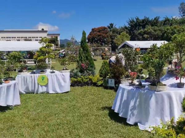 Variedad de flores y plantaciones son expuestas en el colorido Festival de las Flores en Siguatepeque.