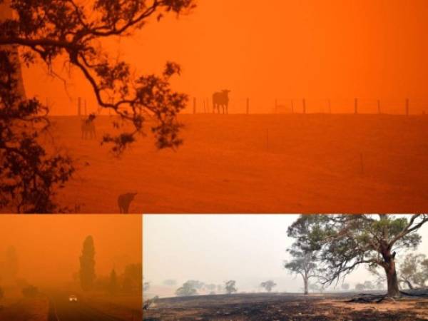 Un descenso en las temperaturas y vientos más tranquilos dieron algo de alivio el domingo a localidades de Australia azotadas por incendios forestales, mientras el cielo se observaba rojizo. Fotos: Agencia AFP.