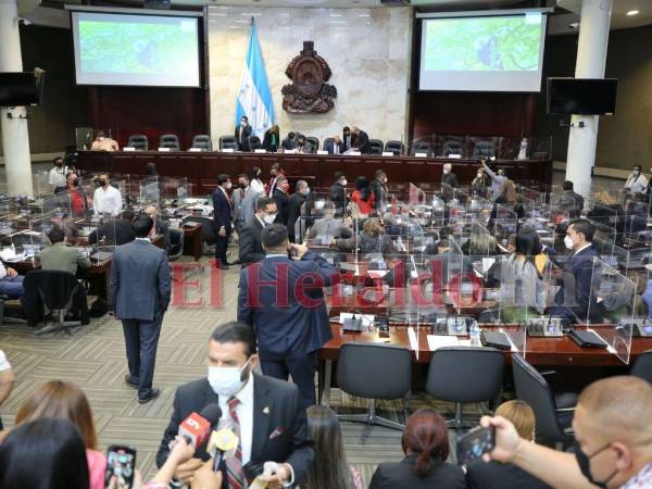 En el seno del Congreso Nacional hay diputados que opinan que una nueva Constitución de la República no solucionará los verdaderos problemas que atraviesa el pueblo.