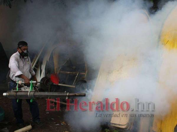 La Secretaría de Salud considera que el dengue se combate desde el hogar y luego ellos hacen la segunda parte con fumigación y BTI.