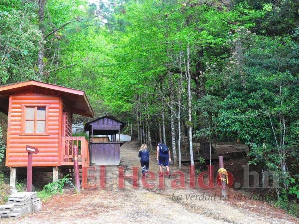 En promedio, unas 20 personas por día visitan el Parque Nacional La Tigra; para este feriado, la Fundación Amitigra prevé recibir un promedio de 2,500 personas durante toda la semana.