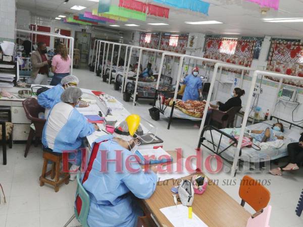 Autoridades sanitarias llaman a reforzar acciones de eliminación de criaderos y fumigación.