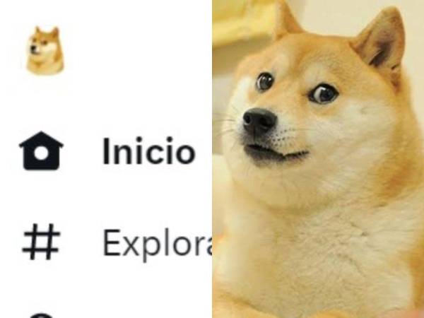 El Dogecoin es la cara de la famosa criptomoneda.