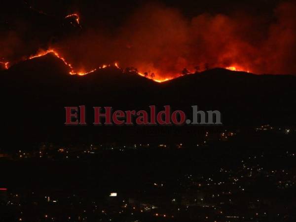 En lo que va del año se han registrado un total de 205 incendios en todo el territorio hondureño.