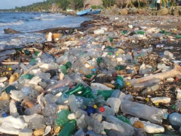 El rompimiento de una barda arrastró muchísima basura.