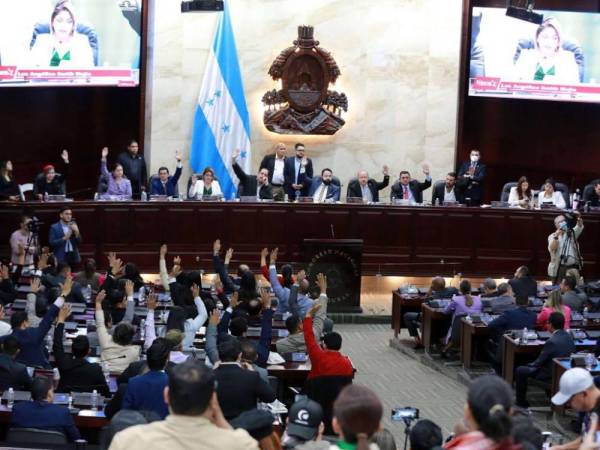 Esta iniciativa fue presentada por la diputada de Libre (Libertad y Refundación), Kely Aguilar, quien destacó la importancia cultural y económica de esta gema para el país.