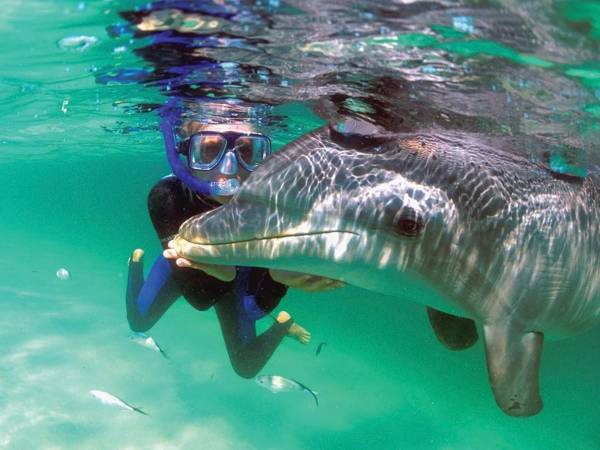 La isla de Roatán, en el departamento de Islas de la Bahía, fue elegido por la revista TIME como uno de los mejores destinos para visitar este 2023. Aquí te mostramos algunas de las razones del por qué está isla es un paraíso en la tierra.