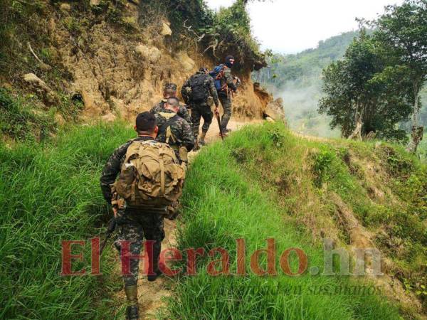 La Fuerza de Tarea Interinstitucional Ambiental, liderada por el Ejército, Fiscalía del Ambiente e ICF, ya realiza labores arduas en la inmensa montaña, pero urgen del apoyo y refuerzo de un Batallón Verde que abarque las zonas más afectadas.