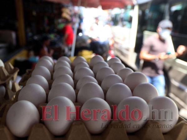 El cartón de huevos se ha encarecido en los últimos días.