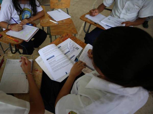 El Distrito Central cuenta con una matrícula de más de 200,000 escolares, de acuerdo a datos preliminares de la Secretaría de Educación.