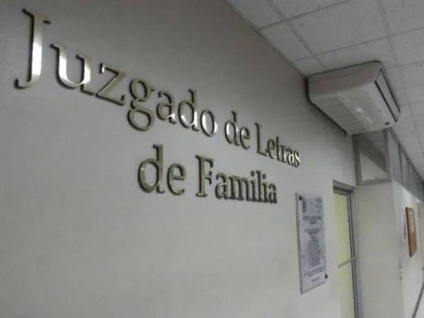 Registro de Deudores Alimentarios Morosos (Redam) aumentó las inscripciones.