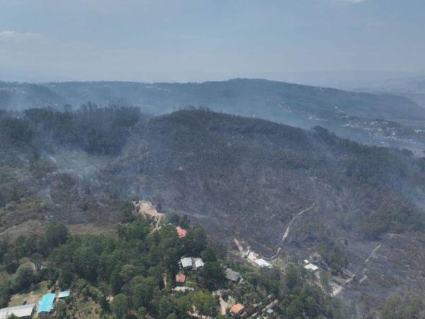 En su reporte el ICF declaró que de las 1,088.09 hectáreas afectadas, el 41% que equivale a 452.6 hectáreas fueron en “área de bosque”, lo demás se clasificó como “área de no bosque”.